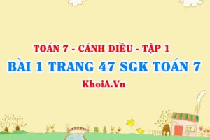 Bài 1 trang 47 SGK Toán 7 tập 1 Cánh Diều